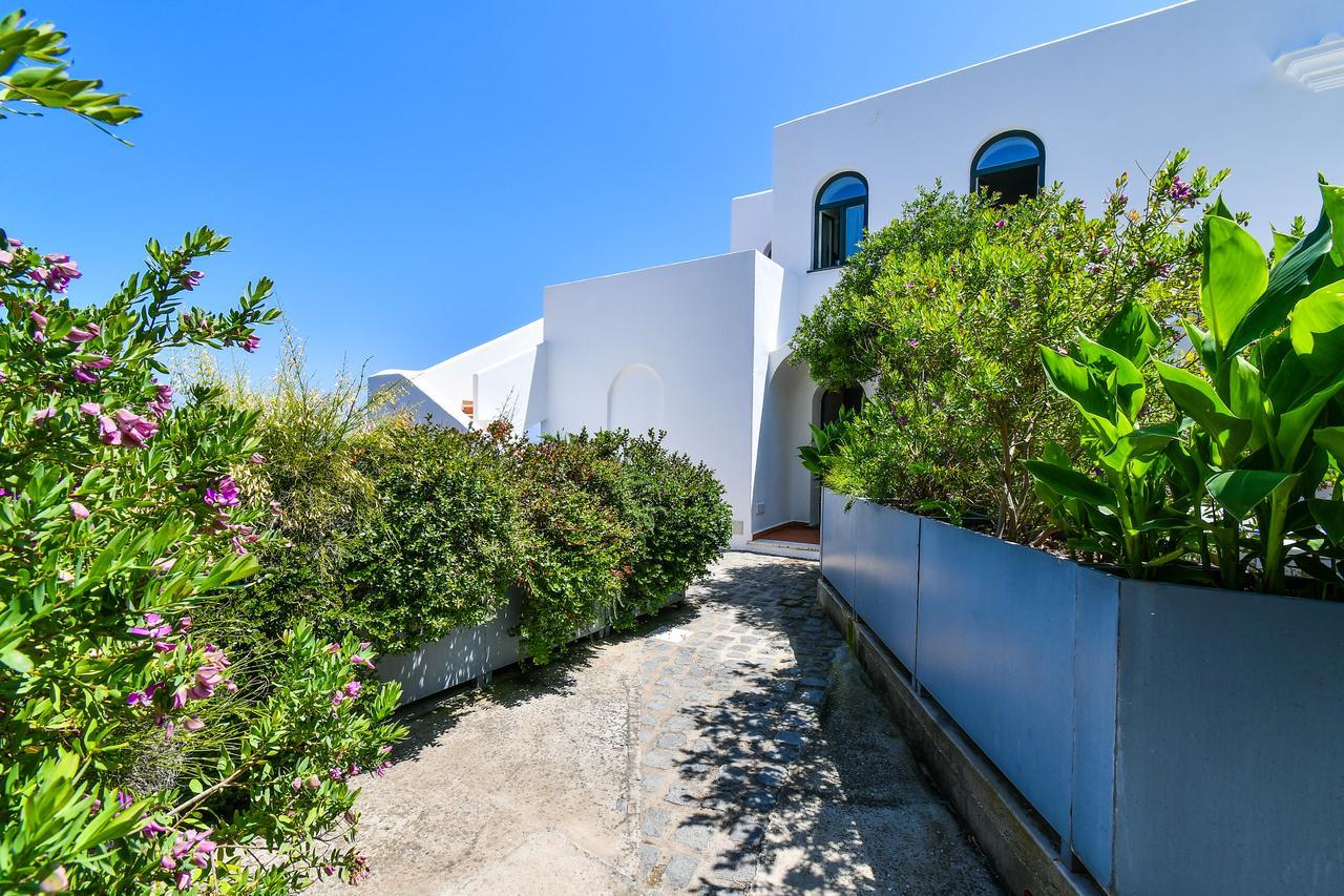 B&B Villa Lentisco Ischia Ngoại thất bức ảnh
